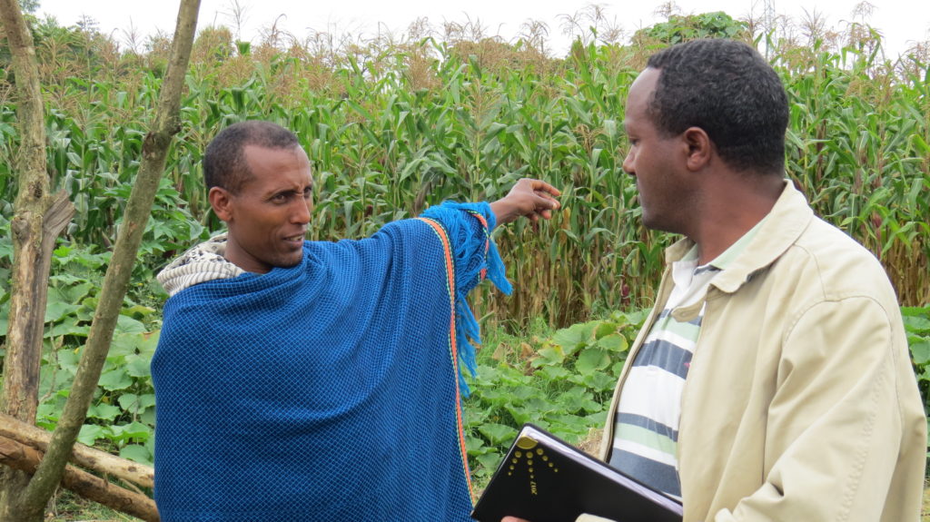 Agriculture plays an important role in the life and livelihood of most Ethiopians, where about 12 million smallholder farming households account for an estimated 95% of agricultural production and 85% of employment.  This makes it even more impressive that Workineh Genetu, Project Ethiopia’s leader of its Farmers’ Association program, has been named Ethiopia’s Farmer of the Year four separate times.